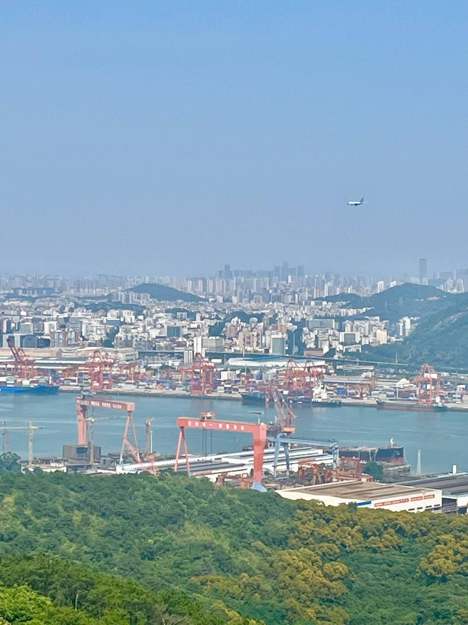 海沧大桥下的船厂厂区